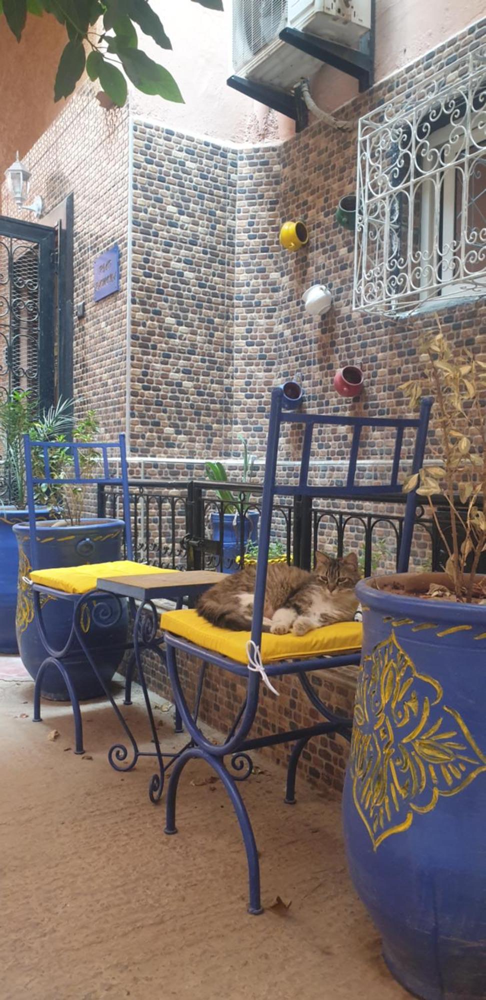 Riad Ramona Lqariya Seyaheya Марракеш Экстерьер фото